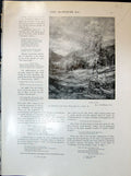 Antique Print Gen Leaves Trees Macwhirter Three Kings Sherwood Sisters 1903
