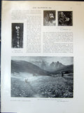 Old Macwhirter Ruskin Russian June Austrian Tyrol Venice Lyle Skye 19 20th