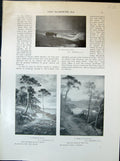 Old Pinewood Sea Loch Katrine Macwhirter Donkey Otium Dignitate 1903 20th