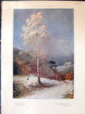 Antique Print Colour Winter Fairy Frosty Trees Macwhirter 1903 Art Journal 20th