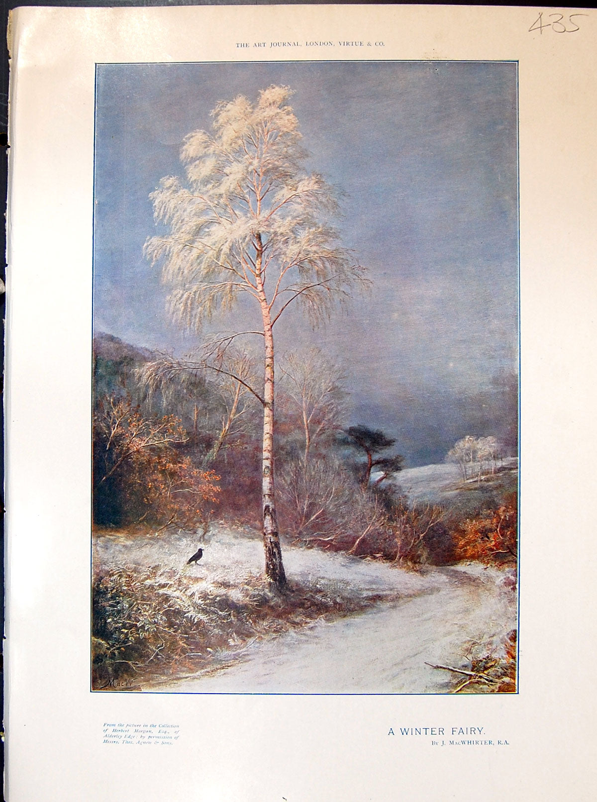 Antique Print Colour Winter Fairy Frosty Trees Macwhirter 1903 Art Journal 20th