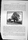 Original Old Antique Print Part Roman Wall Caerleon Trees Cassell C1882 19th