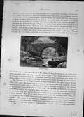 Antique Old Print In The Dargle River Bridge Fisherman Trees Cassell C1882 19th