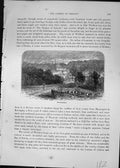 Original Old Antique Print Enniskerry Ireland Trees Street Scene Cassell C1882