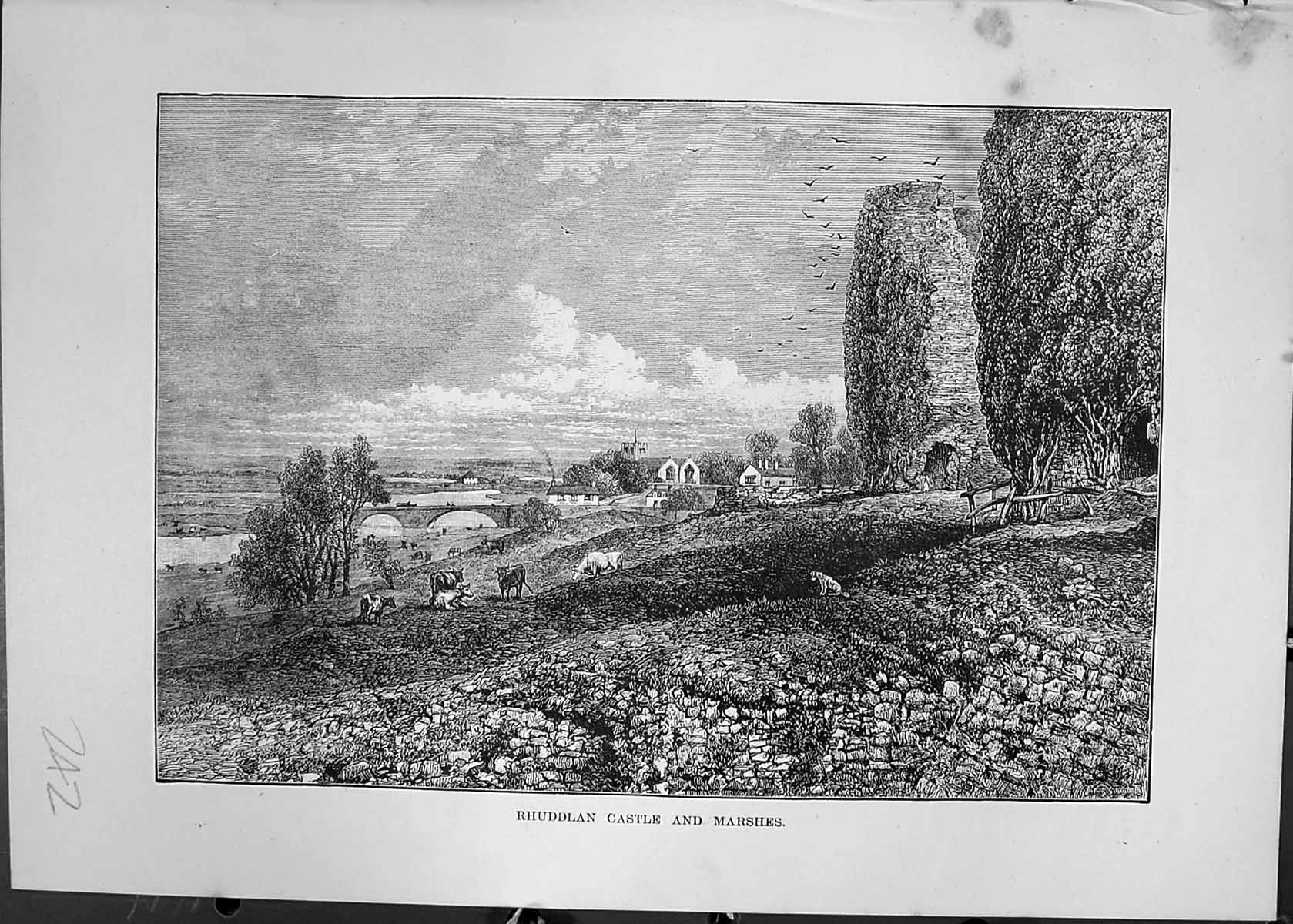 Antique Old Print Rhuddlan Castle Marshes Animals River Bridge Cassell C1882