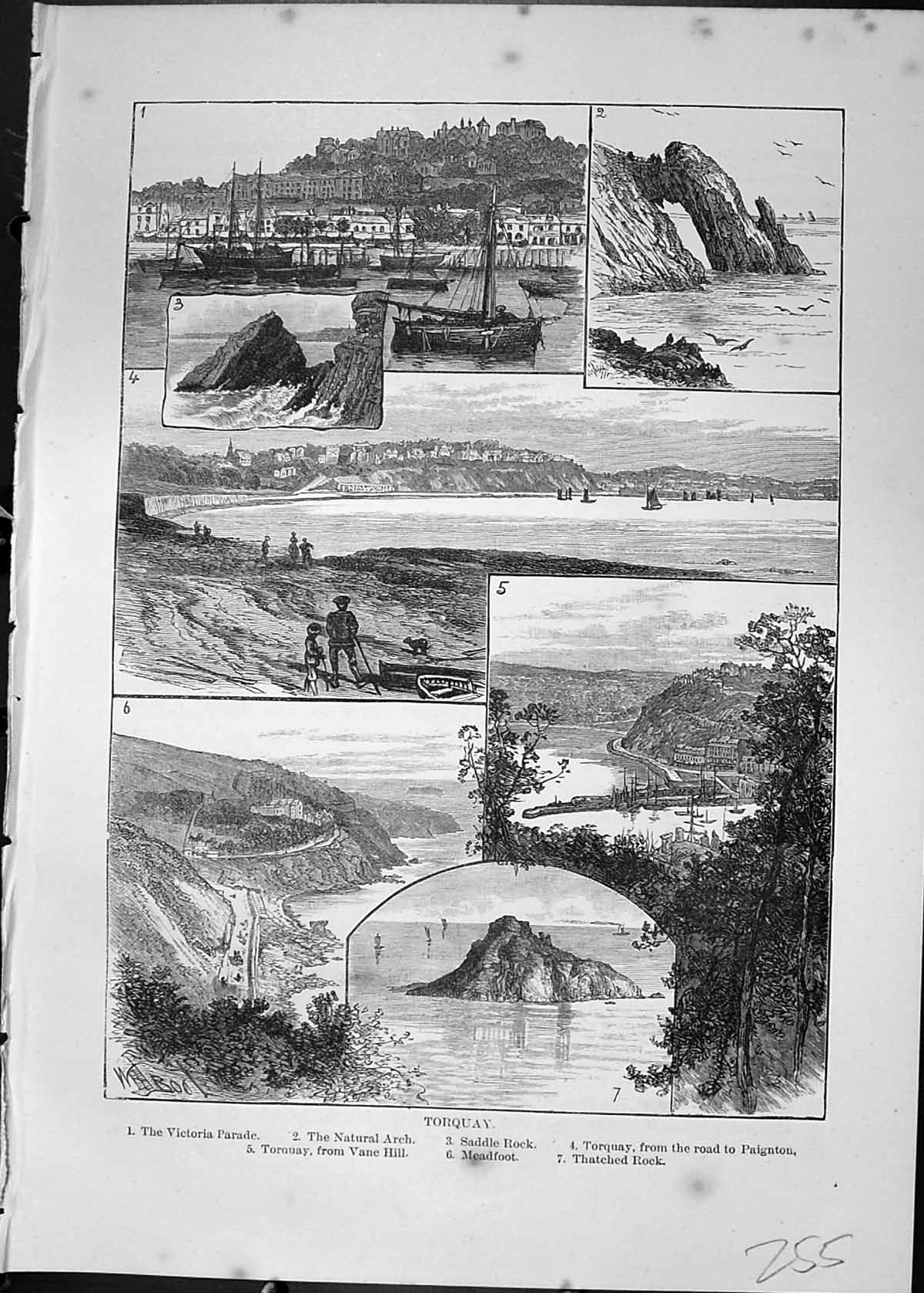 Old Print Torquay Victoria Parade Saddle Rock Meadfoot Vane Cassell C1882 19th