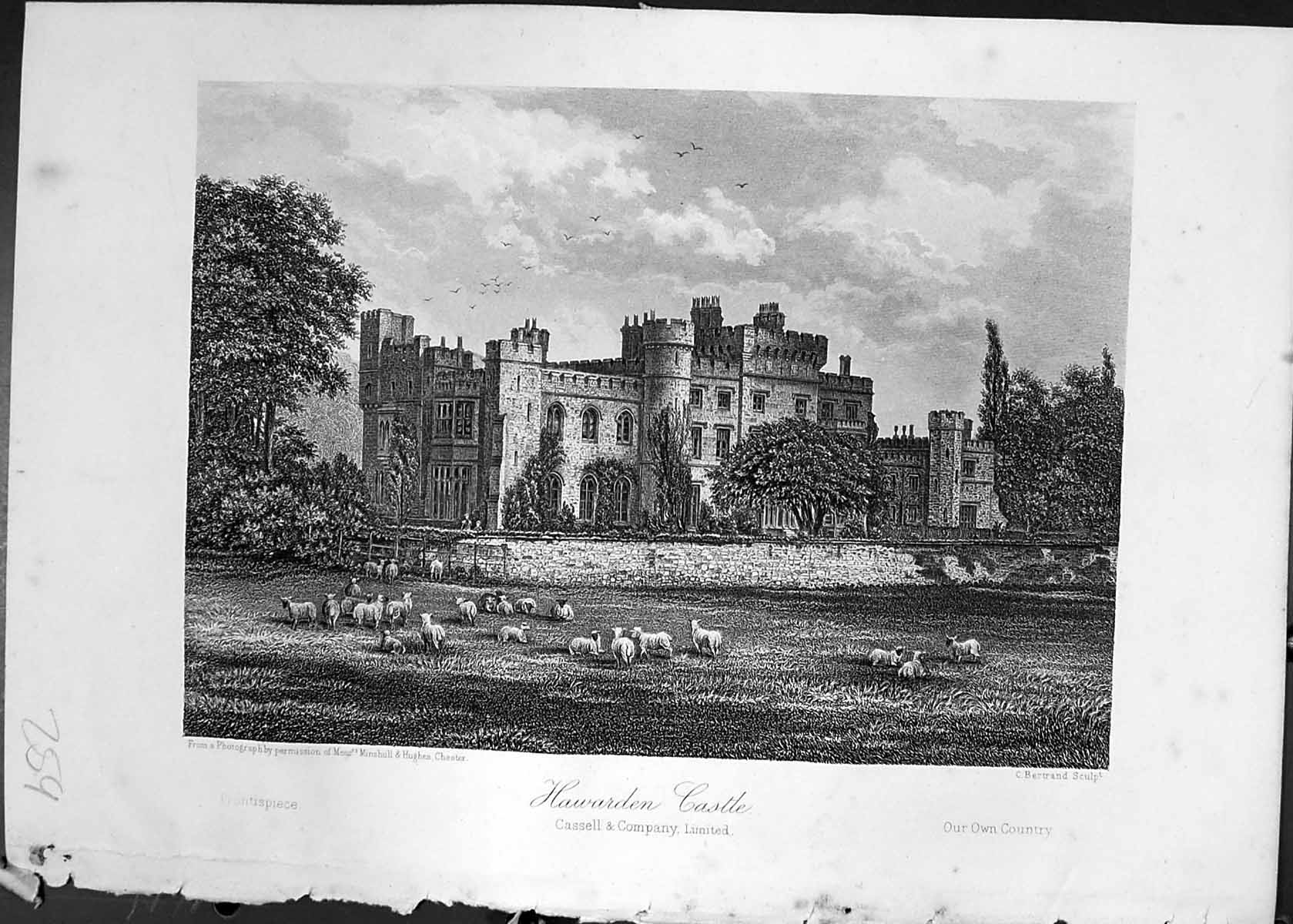 Original Old Antique Print Hawarden Castle Sheep Architecture Cassell C1882