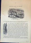 Antique Old Print Charnwood Forest Rocks Mount Sorrel England Cassell C1882