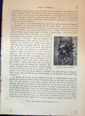Original Old Antique Print Door Knocker Durham Cathedral England Cassell C1882