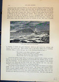 Antique Old Print Puffin Island Anglesea Lighthouse Ship Sea Cassell C1882 19th