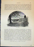 Original Old Antique Print Plas Newydd Carnarvon Architecture Cassell C1882