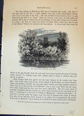 Original Old Antique Print Abbey Tower Swan Pool Midsummer Hill Cassell C1882