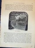 Old Antique Print View Northernhay Statue Lady Reading Book Cassell C1882 19th