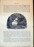 Old Antique Print Bagworthy Waterslide River Trees Nature Cassell C1882 19th