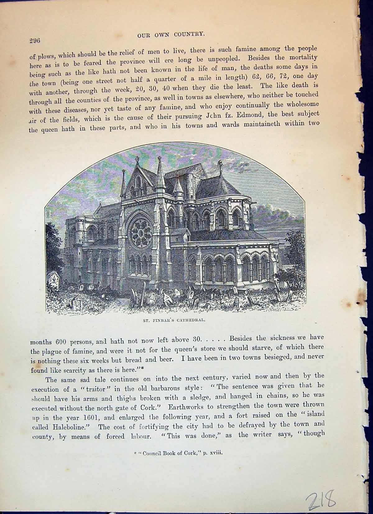 Original Old Antique Print St. Finbar'S Cathedral Architecture Cassell C1882