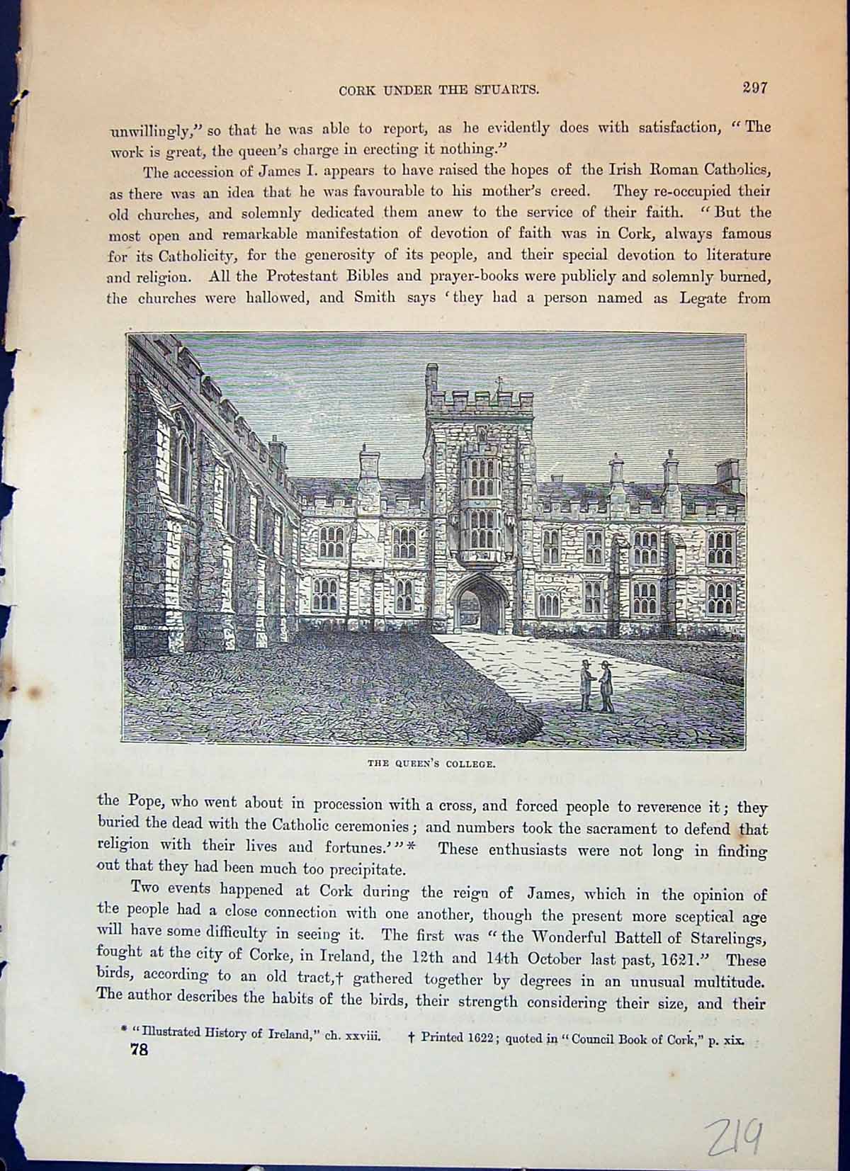 Original Old Antique Print Queen'S College Exterior Architecture Cassell C1882