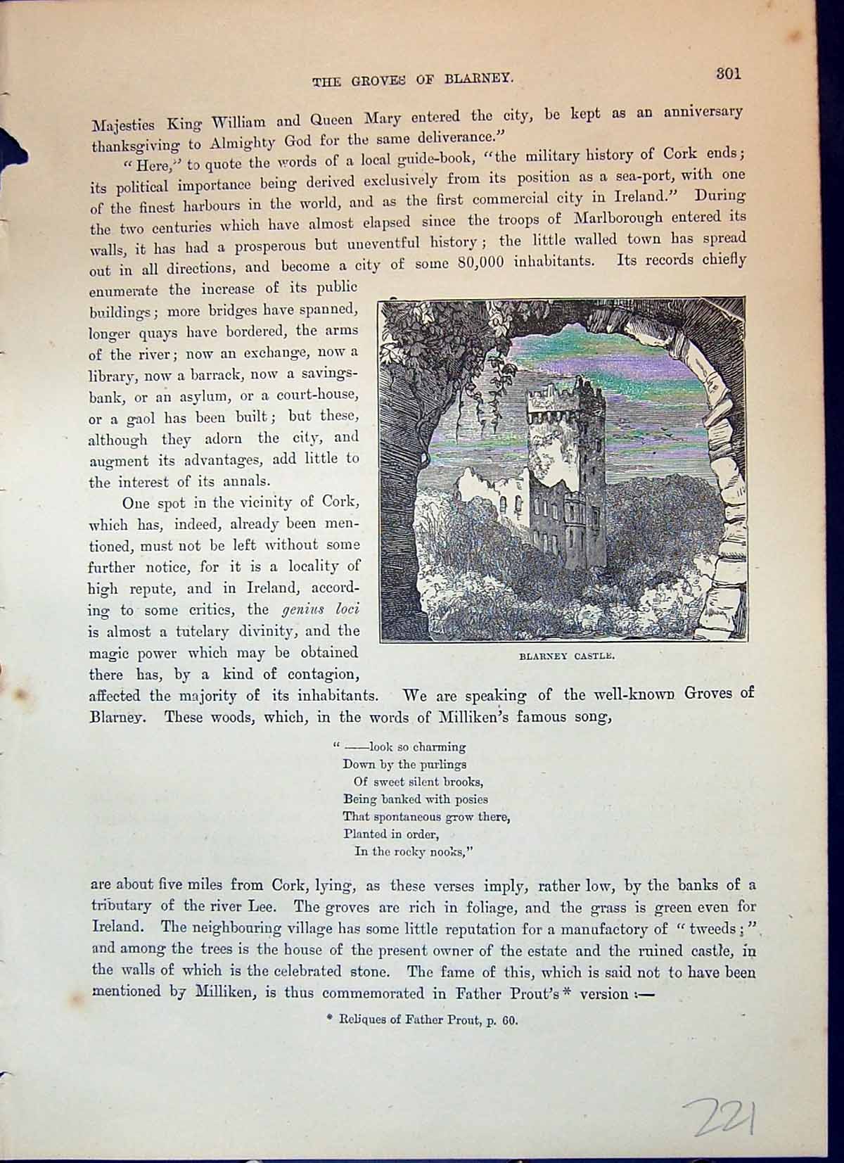 Antique Old Print Exterior Blarney Castle Ireland Architecure Cassell C1882