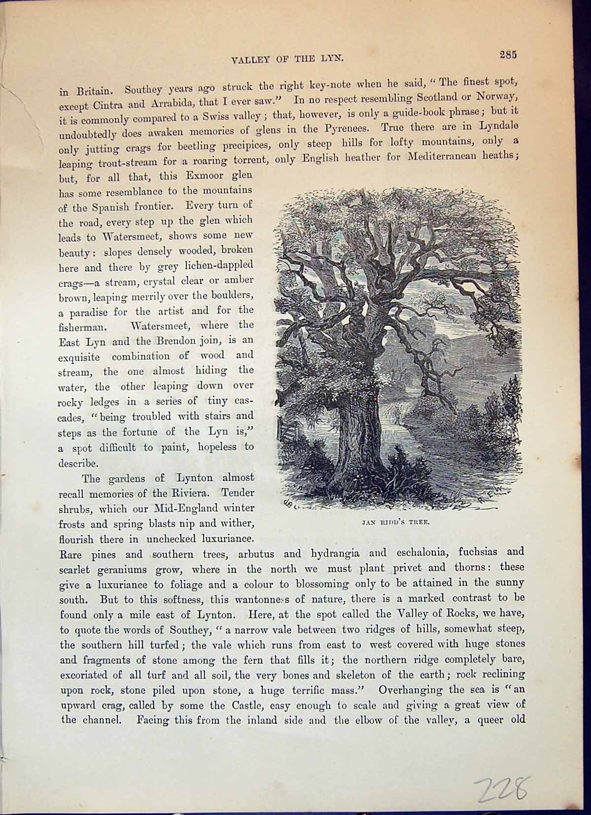 Antique Print Jan Ridd'S Tree Valley Lyn Devil'S Cheese-Ring Cassell C1882