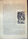 Old Print Coracles Monmouth Symond'S Yat Man Fishing River Cassell C1882 19th