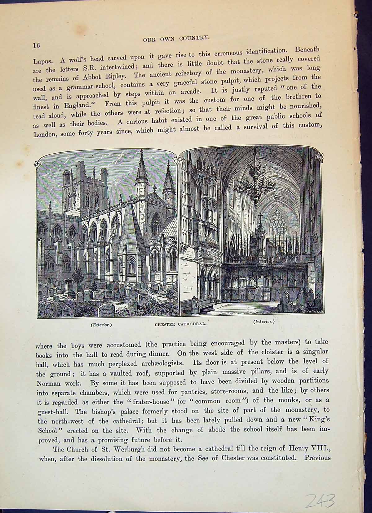 Antique Print Chester Cathedral Tomb Hugh Lupus Architecture Cassell C1882