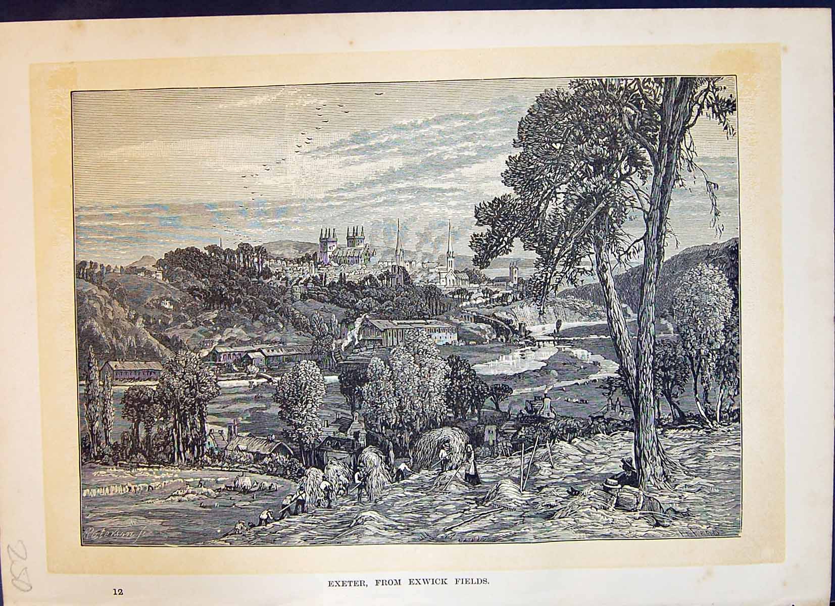 Original Old Antique Print View Exeter Exwick Fields Agriculture Cassell C1882