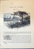 Original Old Antique Print River Trent Nottingham Arms Cassell C1882 Victorian