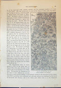 Old Print Map Balmoral Braemar Scotland Castleton Ballater Cassell C1882 19th