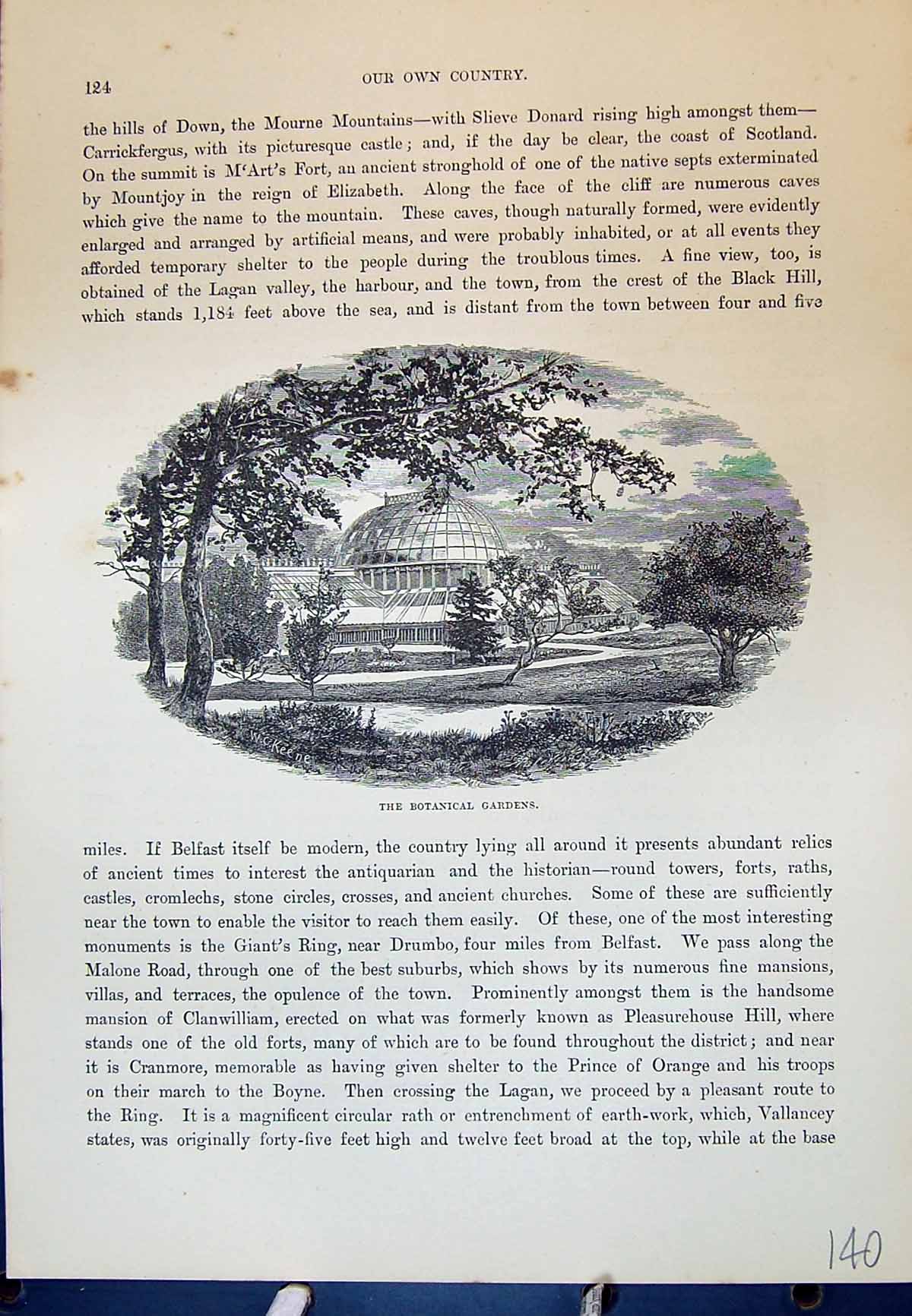 Original Old Antique Print Botanical Gardens Belfast Ireland Cassell C1882 19th