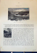 Original Old Antique Print Dorking Charbour Downs Sheep Cassell C1882 Victorian