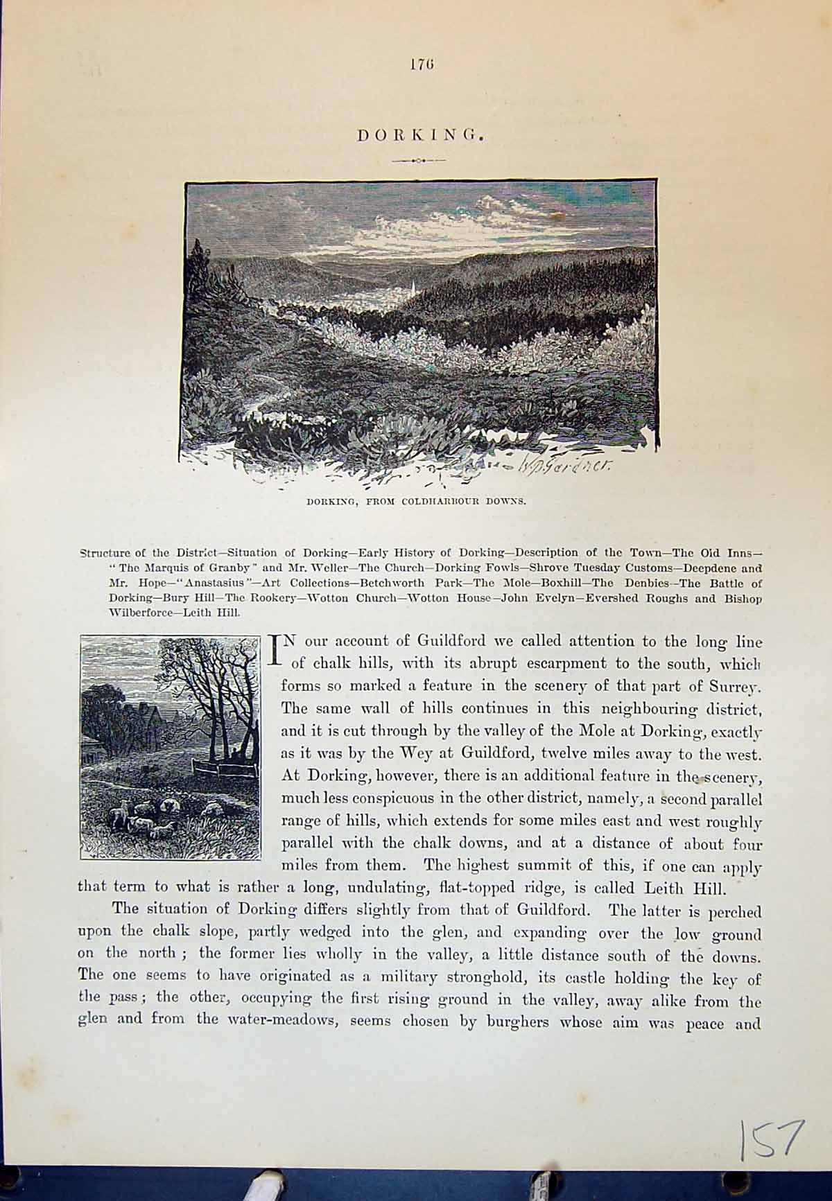Original Old Antique Print Dorking Charbour Downs Sheep Cassell C1882 Victorian