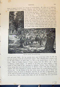 Original Old Antique Print View Two Avenues Betchworth Park Cassell C1882 19th