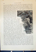 Original Old Antique Print Grotto Garden Alton Castle England Cassell C1882