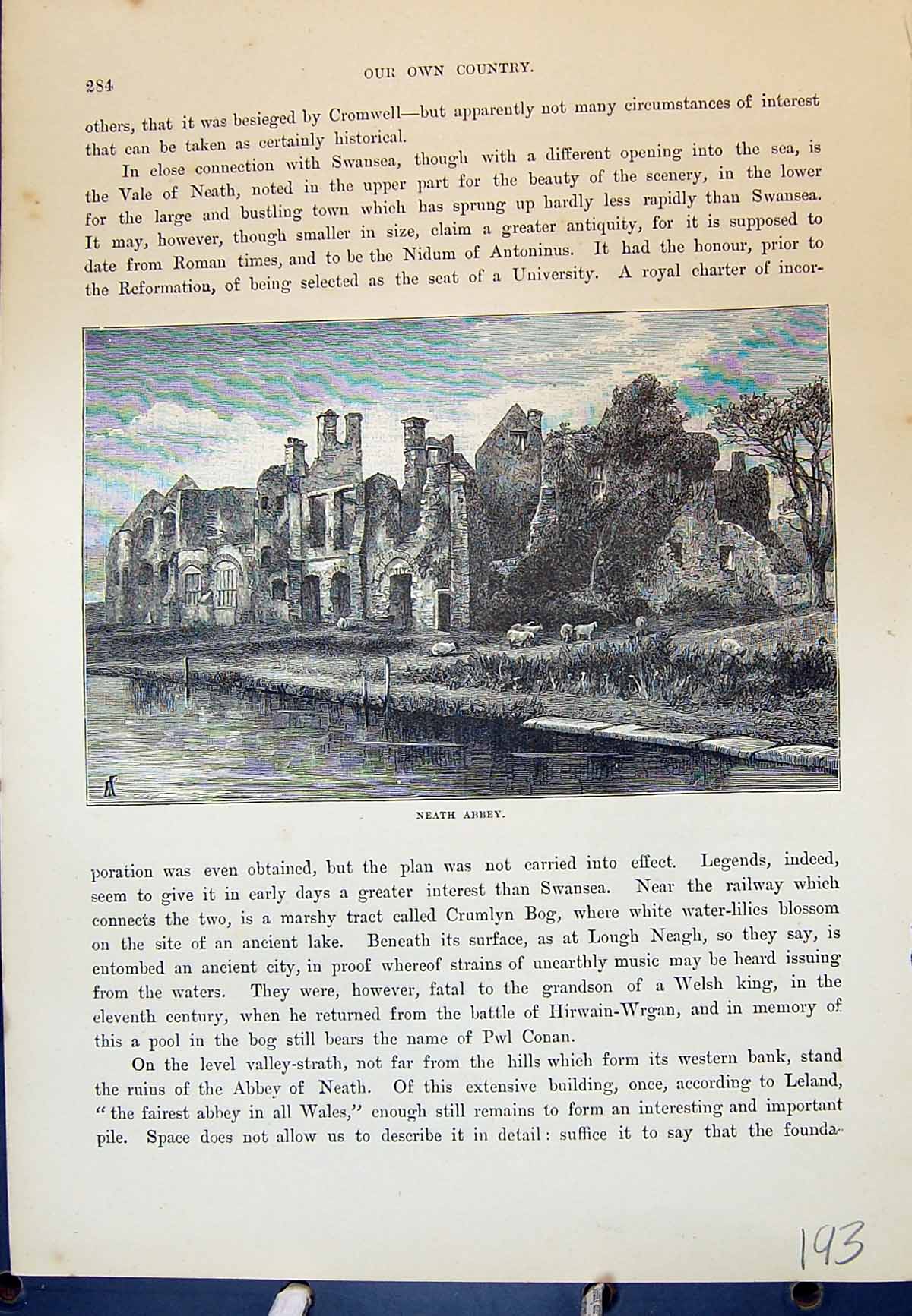 Original Old Antique Print Exterior Neath Abbey Ruins Cassell C1882 Victorian