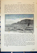 Original Old Antique Print St. Alban'S Head Sailing Boat Cassell C1882 19th