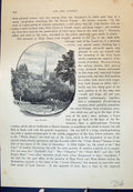 Original Old Antique Print Church High Street Dorking England Cassell C1882