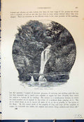 Original Old Antique Print Pyrddin Falls Vale Neath River Cassell C1882 19th