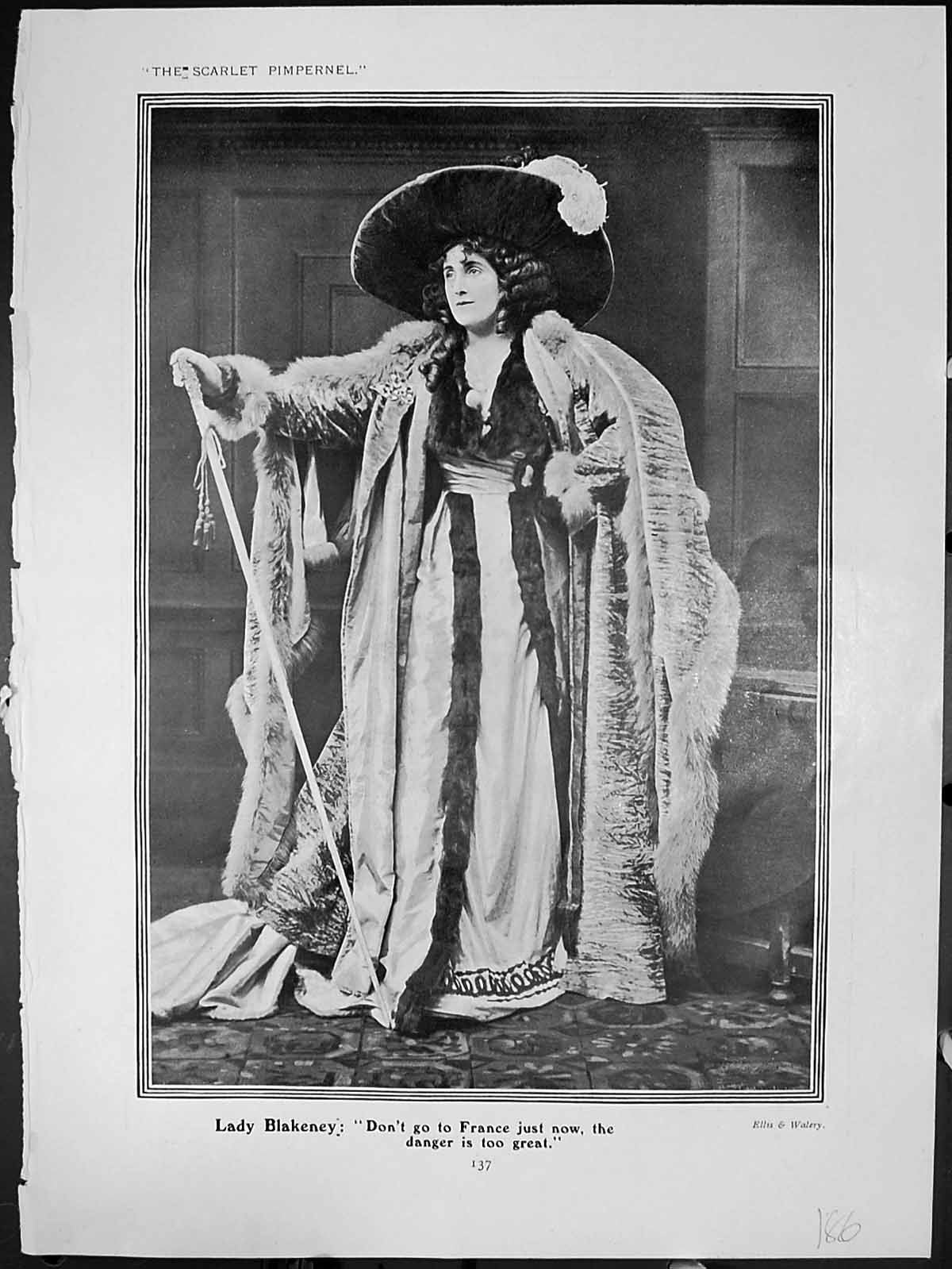 Old Scarlet Pimpernel Lady Blakeney Armand St Just Comtesse De Tourna Victorian