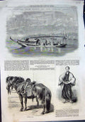 Old Print Japan Government Boat Custom House Officer Japanese Horse 1861 19th