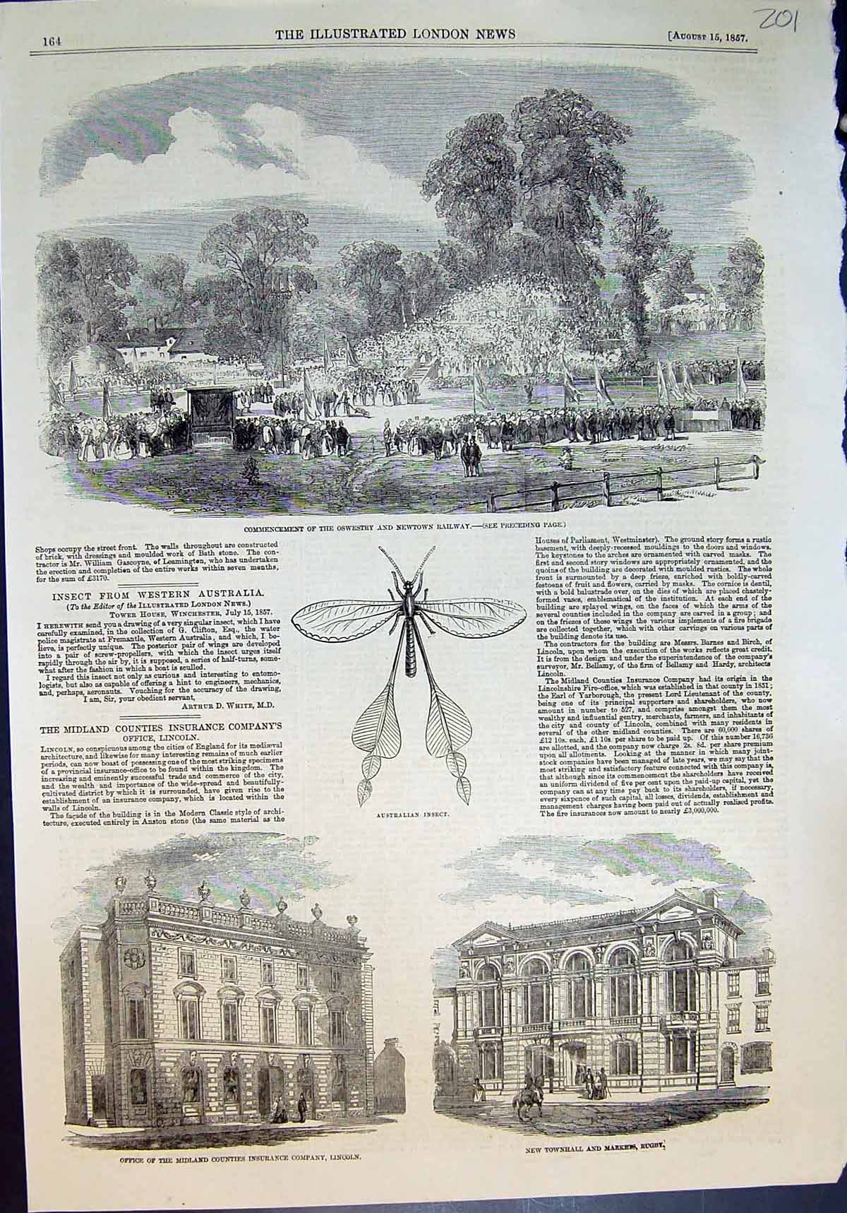 Original Old Antique Print Oswestry Newtown Railway Townhall Market Rugby 1857