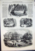 Antique Old Print Canada Escoumains River Salmon Pool Deerstalking Traps 1858