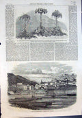 Old Mr Marshs Fruit Flowers Civil War America Harpers Ferry Virginia