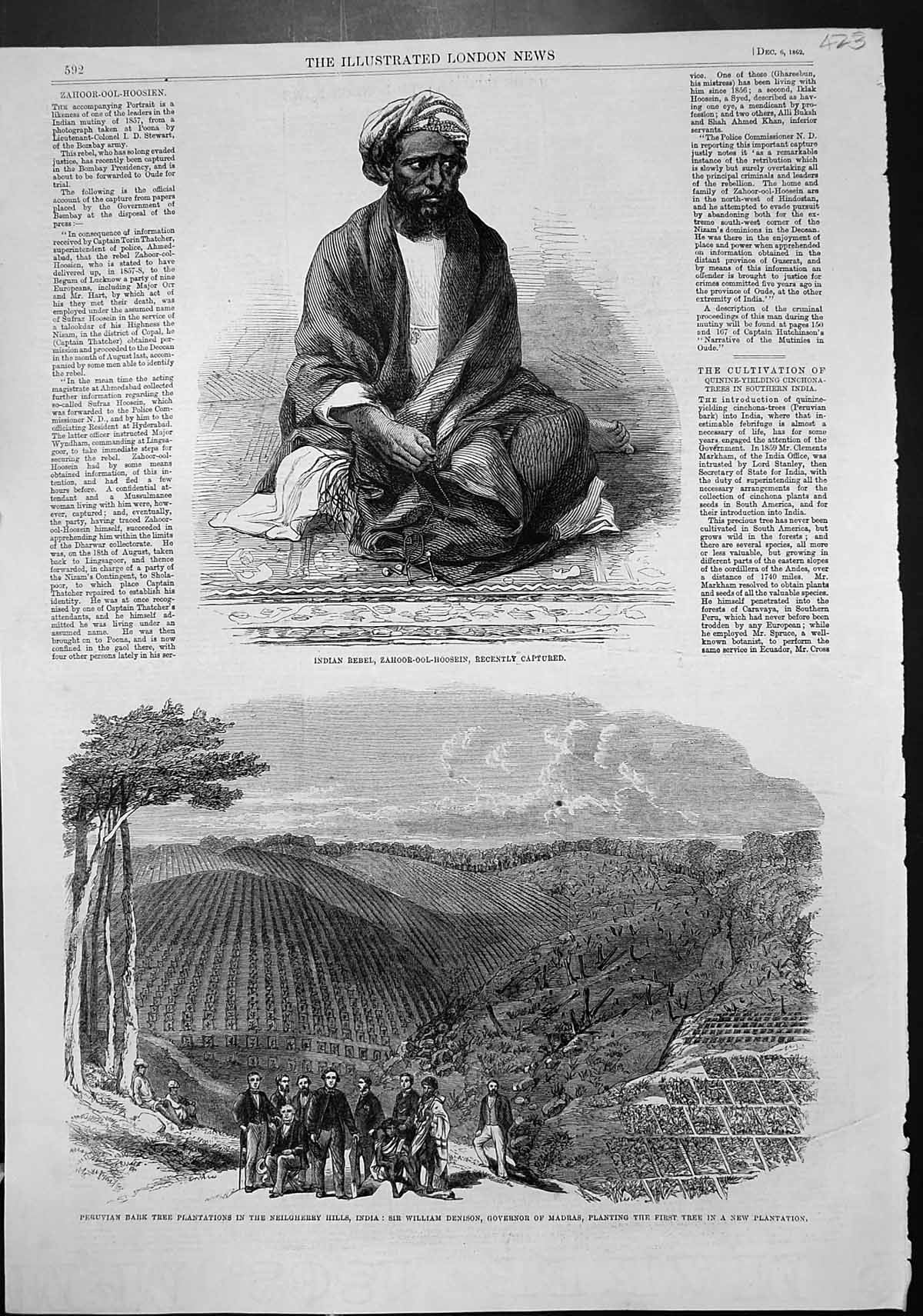 Old Print Indian Rebel Captured Peruvian Bark Tree Plantations India 1862 19th