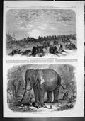 Old Guebers India Worshipping Setting Sun Elephant Children India 186 Victorian