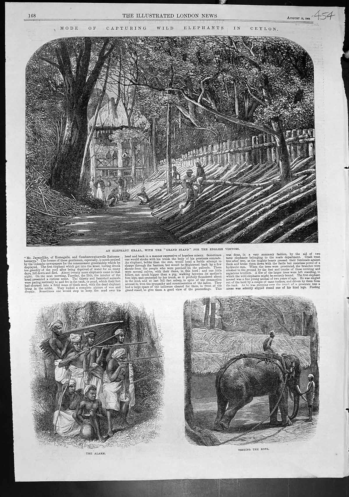 Antique Print Capturing Wild Elephants Ceylon Kraal Alarm Testing Rope 1864
