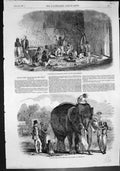 Old Ivory Cutters Bengal Modelling Ivory Figures Living Elephant 1851 Victorian