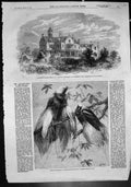 Old Birds Paradise Zoo Ashburton Ho Gosport College Naval Cadets 1862 Victorian