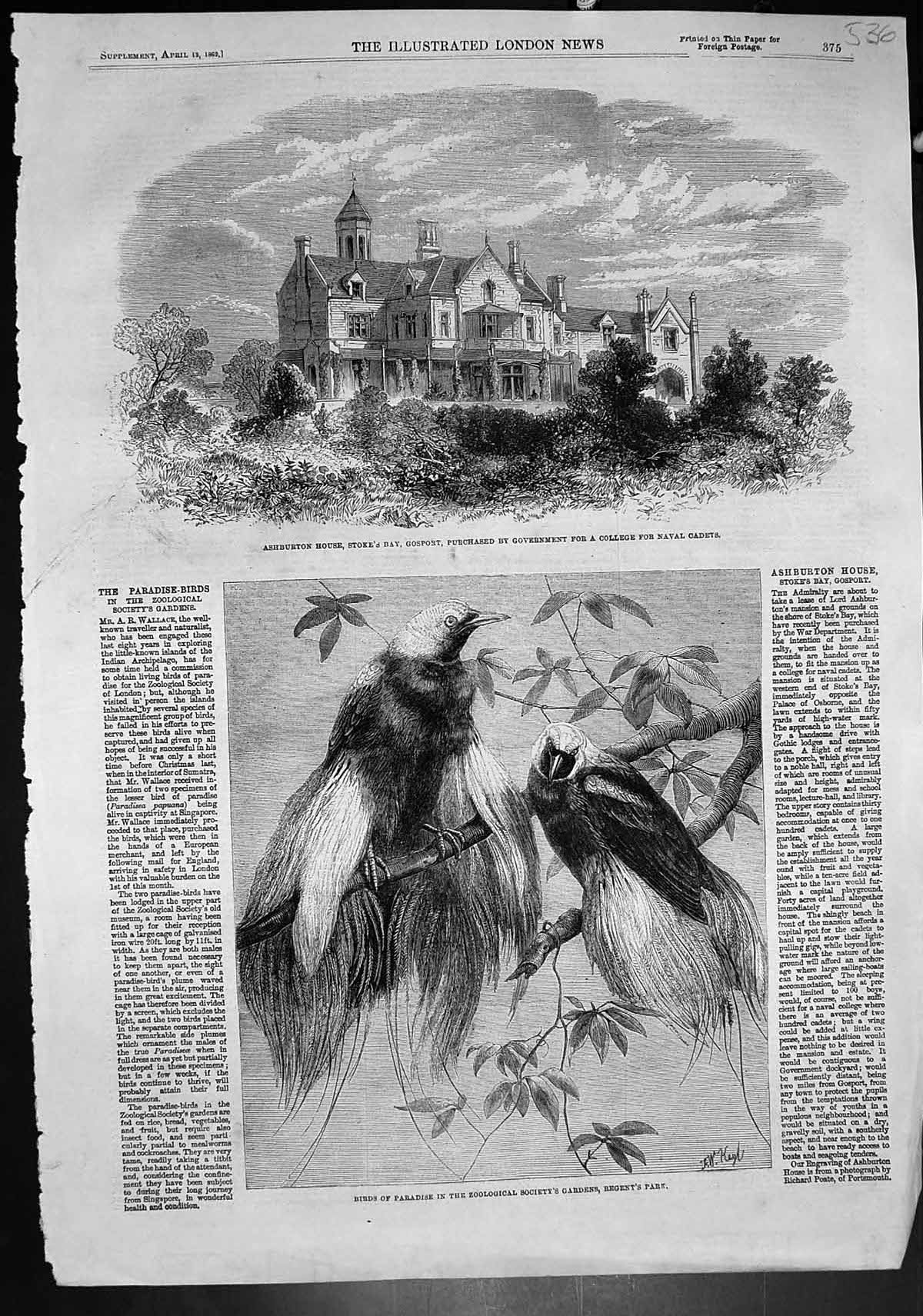 Old Birds Paradise Zoo Ashburton Ho Gosport College Naval Cadets 1862 Victorian
