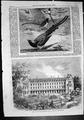 Old Chinese Magpies Zoo Hotel Hydro To Be Erected Upper Norwood 1862 Victorian