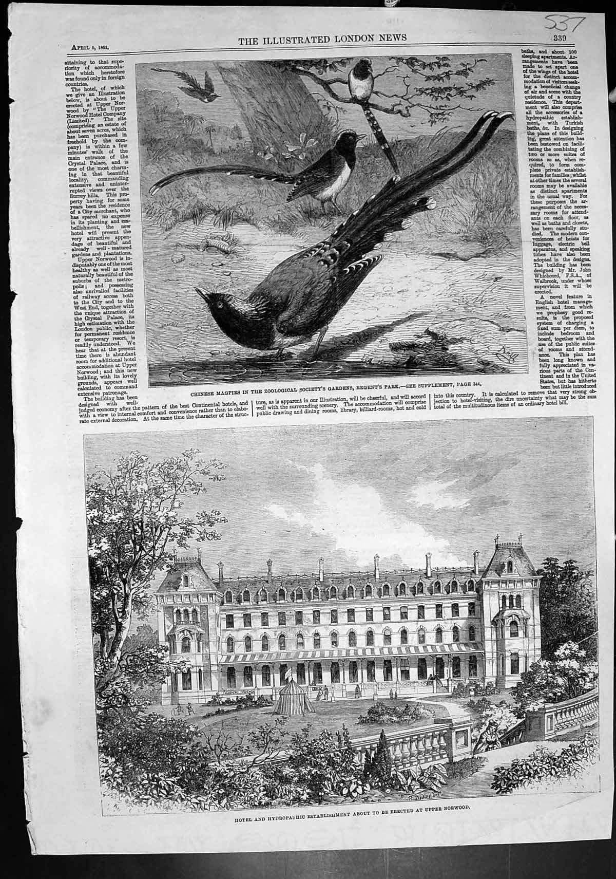 Old Chinese Magpies Zoo Hotel Hydro To Be Erected Upper Norwood 1862 Victorian