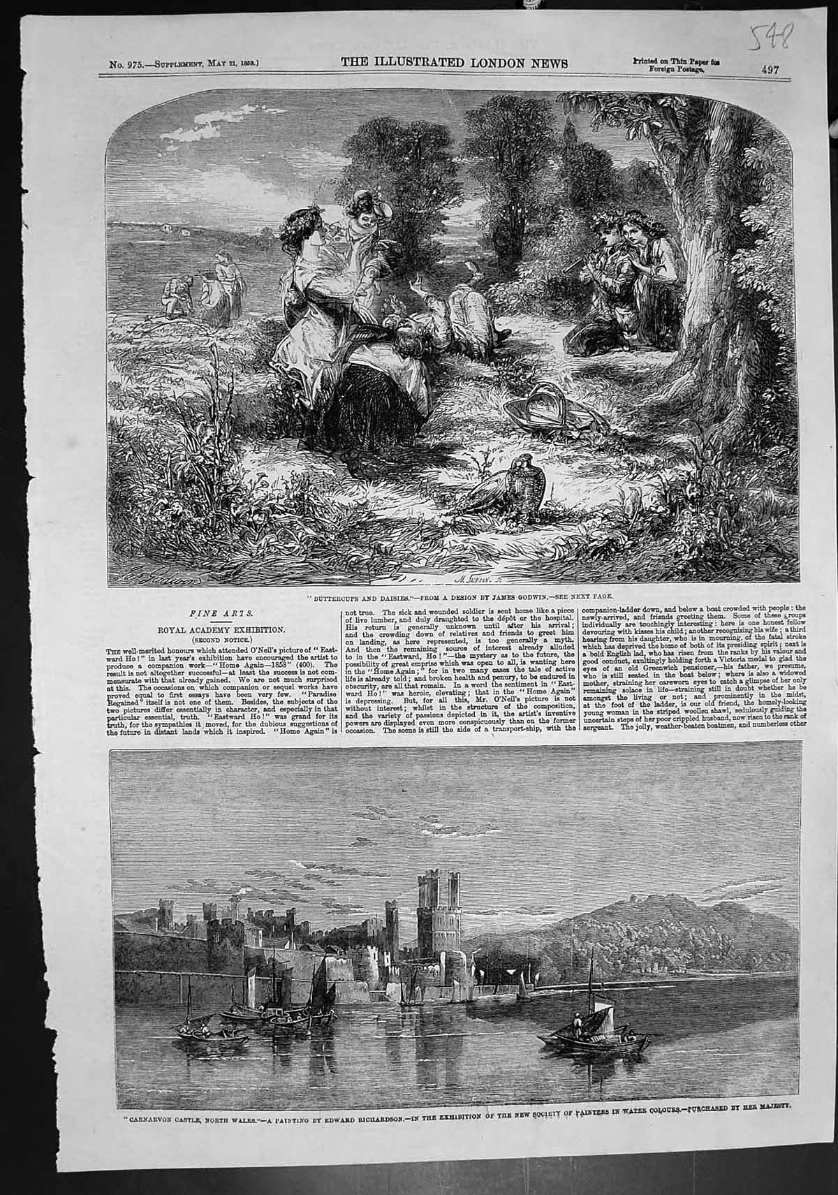 Old Print Buttercups Daisies J Godwin Carnarvon Castle E Richardson 1859 19th